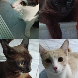 สมทบทุนช่วยค่าอาหารน้อง