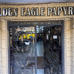 Golden Eagle Papyrus