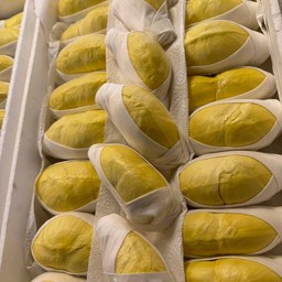 ทุเรียนหมอนทอง 1.5 กิโลกรัม คัดแก่  พูสวยอร่อย เกรดพรีเมี่ยม