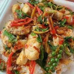 ผัดฉ่าปลากะพงราดข้าว