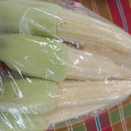 ข้าวโพดอ่อน 1 แพ็ค