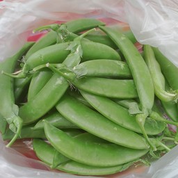 ถั่วลันเตา 1แพ็ค