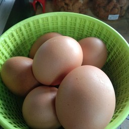 ไข่ไก่ต้ม