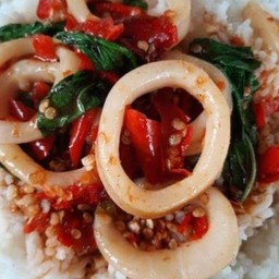 กะเพราหมูสับ+หมึก+ไข่ดาว