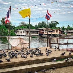 วัดอุทยาน
