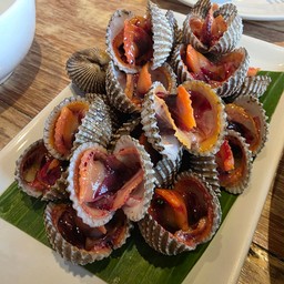 หอยตะแลง (Hoi Talang)