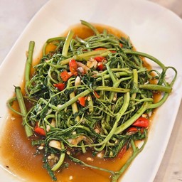 Stir Fried Water Mimosa