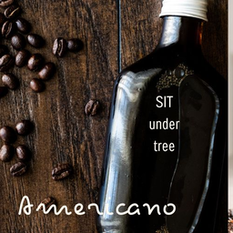 อเมริกาโน่เย็น 1 ขวด Americano  RTD 1,000 ml.