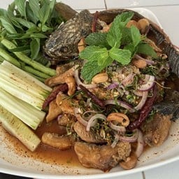 ปลาช่อนน้ำตก