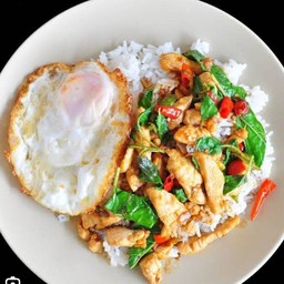 กระเพราไก่ ไข่ดาว