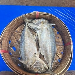 คนขายปลา ปลาทูทอด-ปลาทูมัน