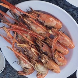 กุ้งแม่น้ำเผา1โล