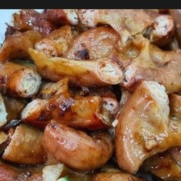 ใส้ย่าง