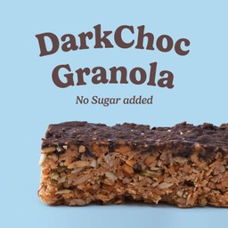 Dark Chocolate Granola Protein Bar