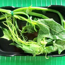 ยอดฟักแม้วต้ม 1 มัด