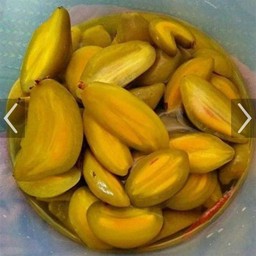 มะดันดอง