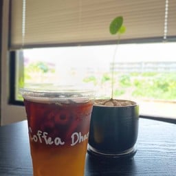 Coffea Dhana