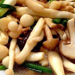 ผัดเห็ดรวมน้ำมันหอยราดข้าว