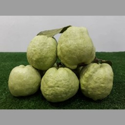 ฝรั่งกิมจู สั่งเนื้อที่ต้องการได้ค่ะ ราคา/กิโล