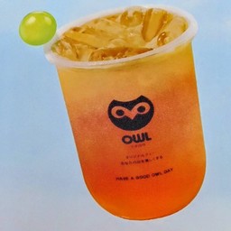 ชาองุ่นไซน์มัสแคท