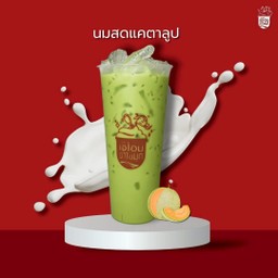นมแคนตาลูป
