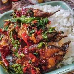 Stir Fried Basil With Catfish On Rice