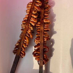 ไส้ไก่ย่าง