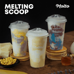 เมลท์ติ้งสกู๊ป