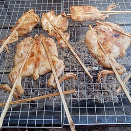 ไก่เป็นตัว