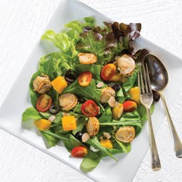 สลัดร็อกเก็ตหอยเชลล์ฮอกไกโด