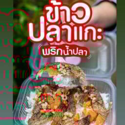ข้าวปลาแกะ สงขลา สาขา 4 (สายกลาง)