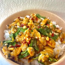 ผัดกระเพราหอยลาย