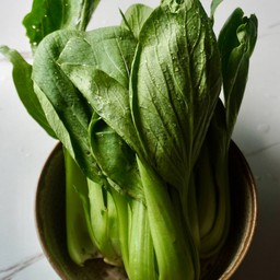 เบบี้ฮ่องเต้ Baby Chinese Cabbage