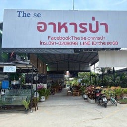 The se อาหารป่า&The se coffee ตลาดไท