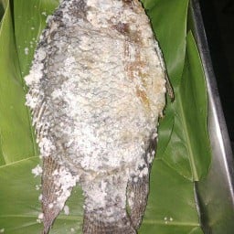 ยุ้ย  จัง บางคล้า