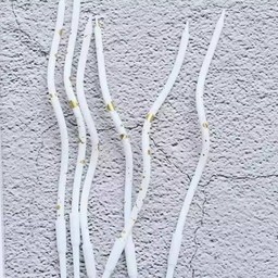 เทียนเกาหลีสีขาว