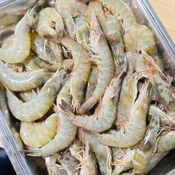 กุ้งขาว