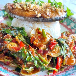 ผัดพริกเผาหอยลาย+ปลาอินทรีย์ทอด