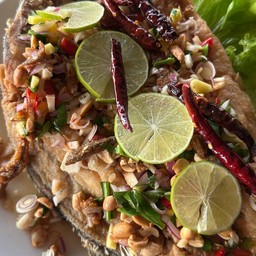 ปลากระพงลุยสวน