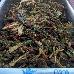 Deer Curry