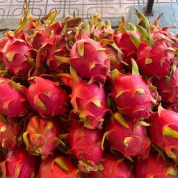 แก้วมังกร