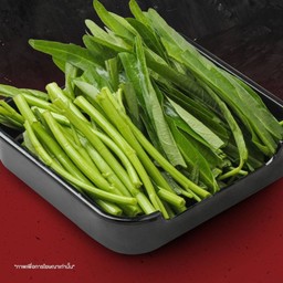 ผักบุ้ง