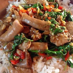 กะเพราไส้อ่อนไข่ดาวราดข้าว
