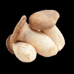 เห็ดออรินจิ