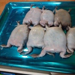 เครปญี่ปุ่น&ผลไม้สดพร้อมทาน สาขาหลัก