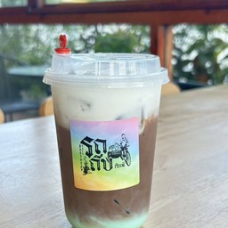 โกโก้มิ้นท์