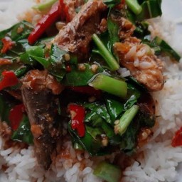 ข้าวราดกระเพราคะน้าปลากระป๋อง