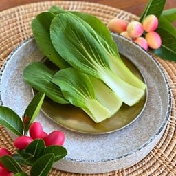 กวางตุ้งฮ่องเต้