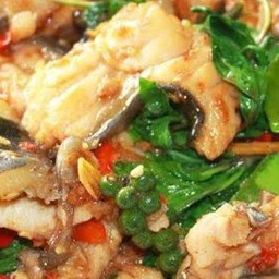 ผัดเผ็ดปลากดคัง