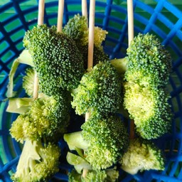 บรอกโคลี